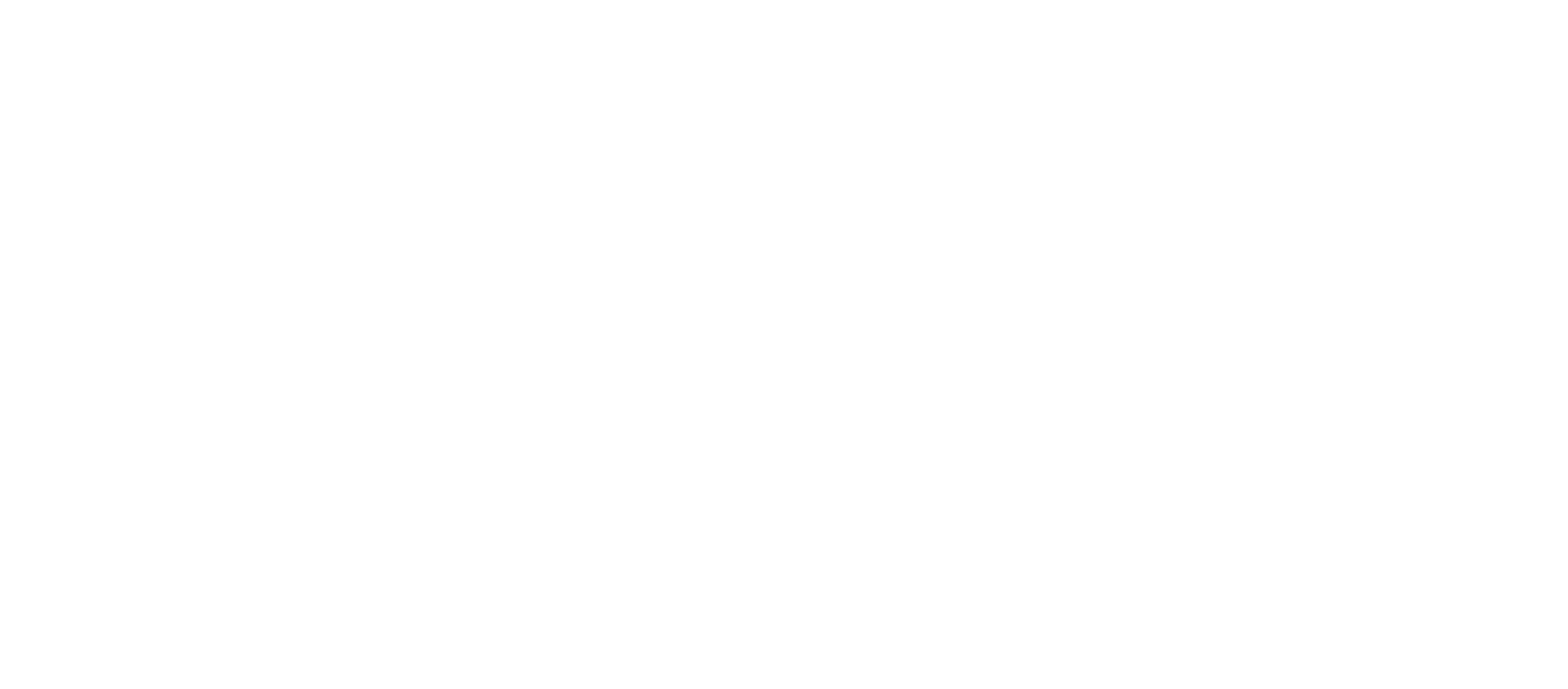 CyberAntix