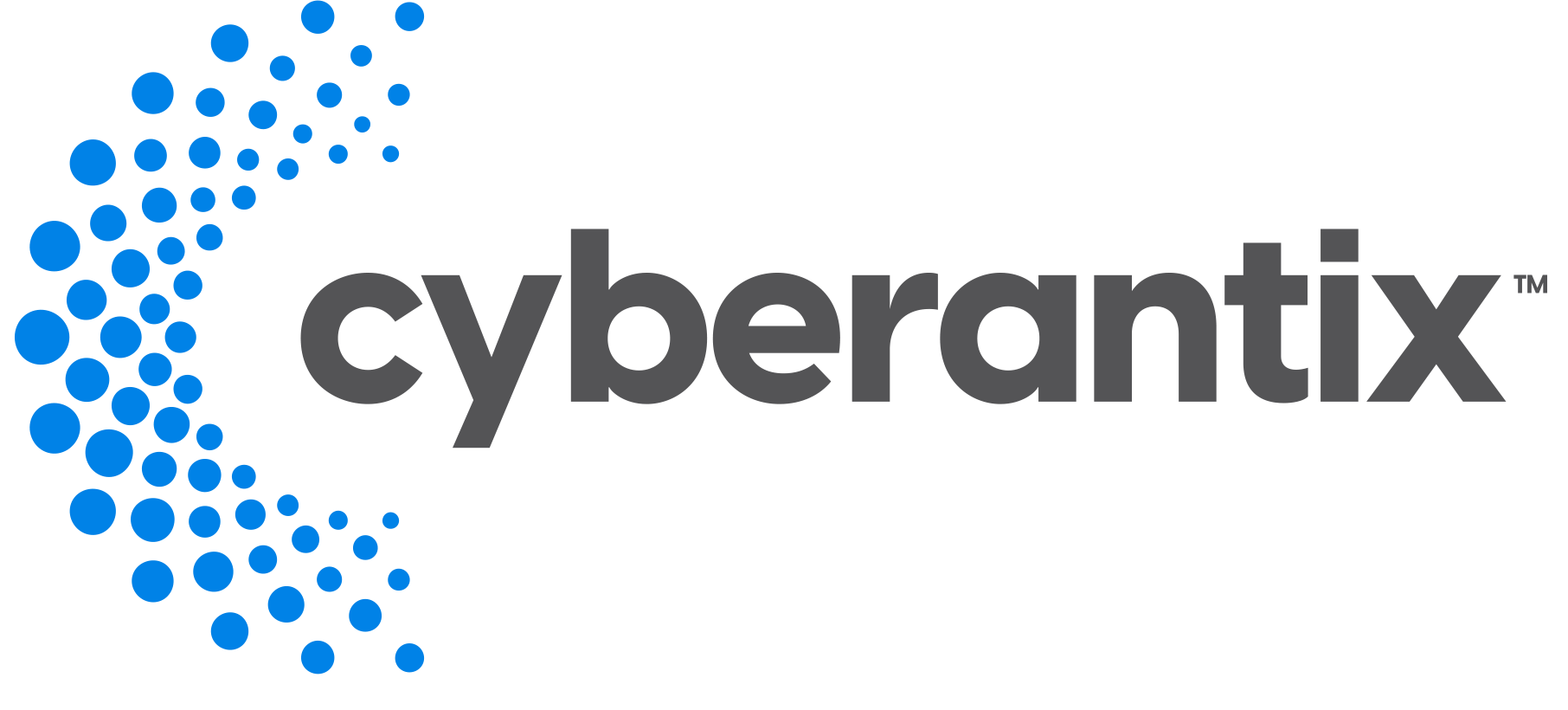 CyberAntix